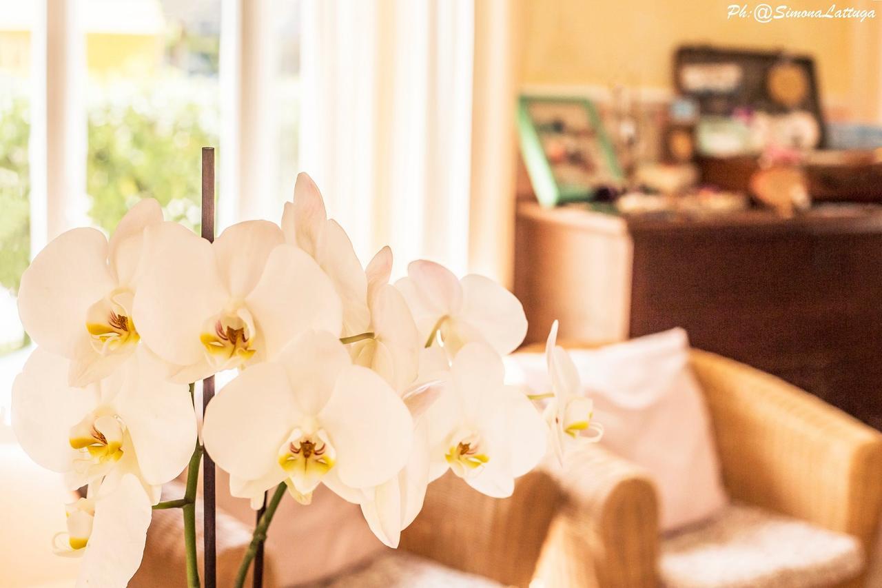 Hotel Ninfea Cervia Dış mekan fotoğraf